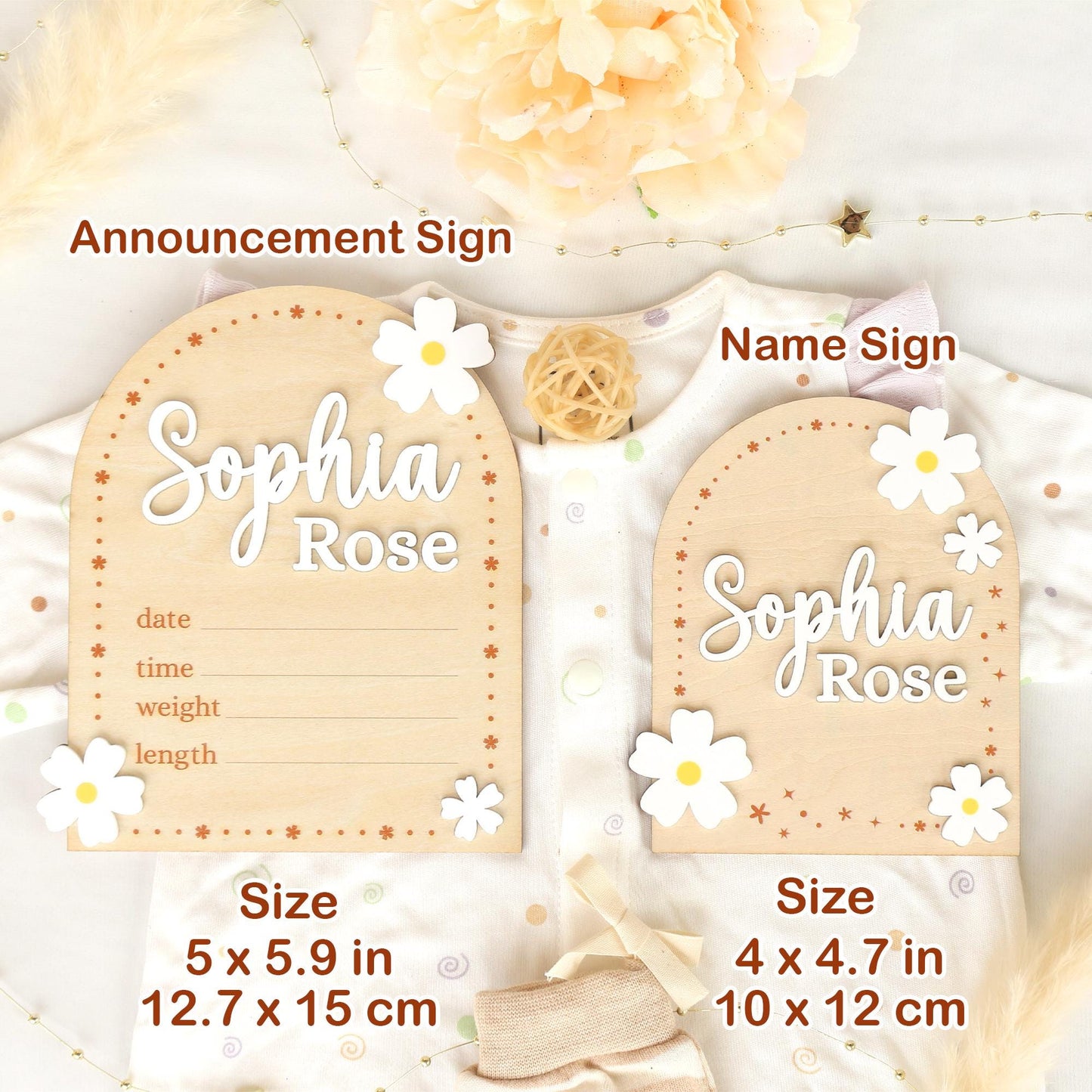 Baby Girl Monthly Milestone Sign: Flower Theme, Photo Prop