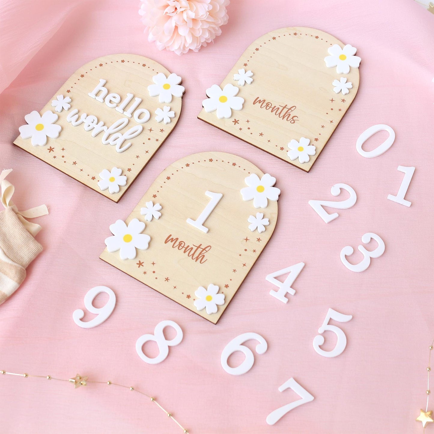 Baby Girl Monthly Milestone Sign: Flower Theme, Photo Prop
