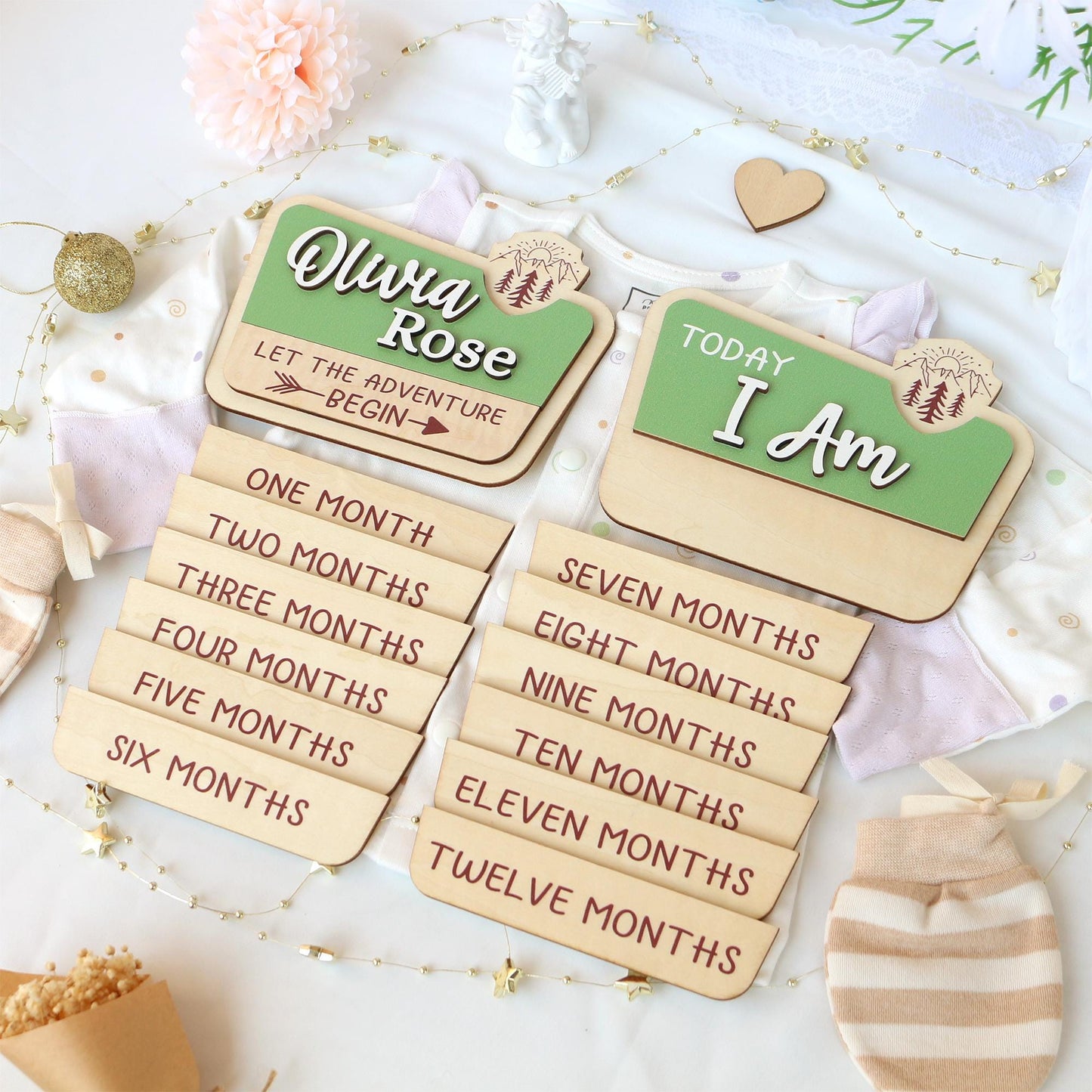 National Park Baby Milestone Sign: Baltic Birch Photo Prop