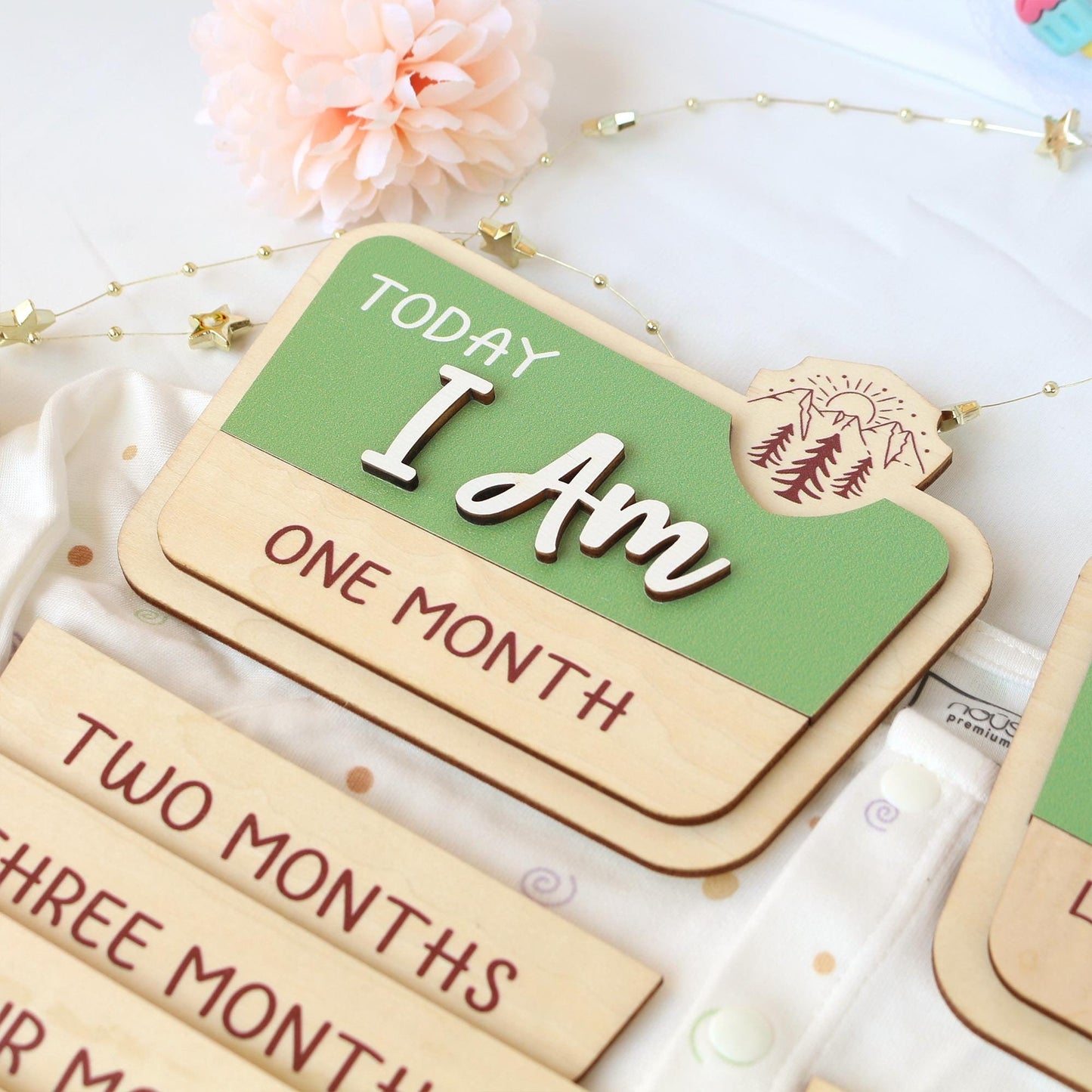 National Park Baby Milestone Sign: Baltic Birch Photo Prop