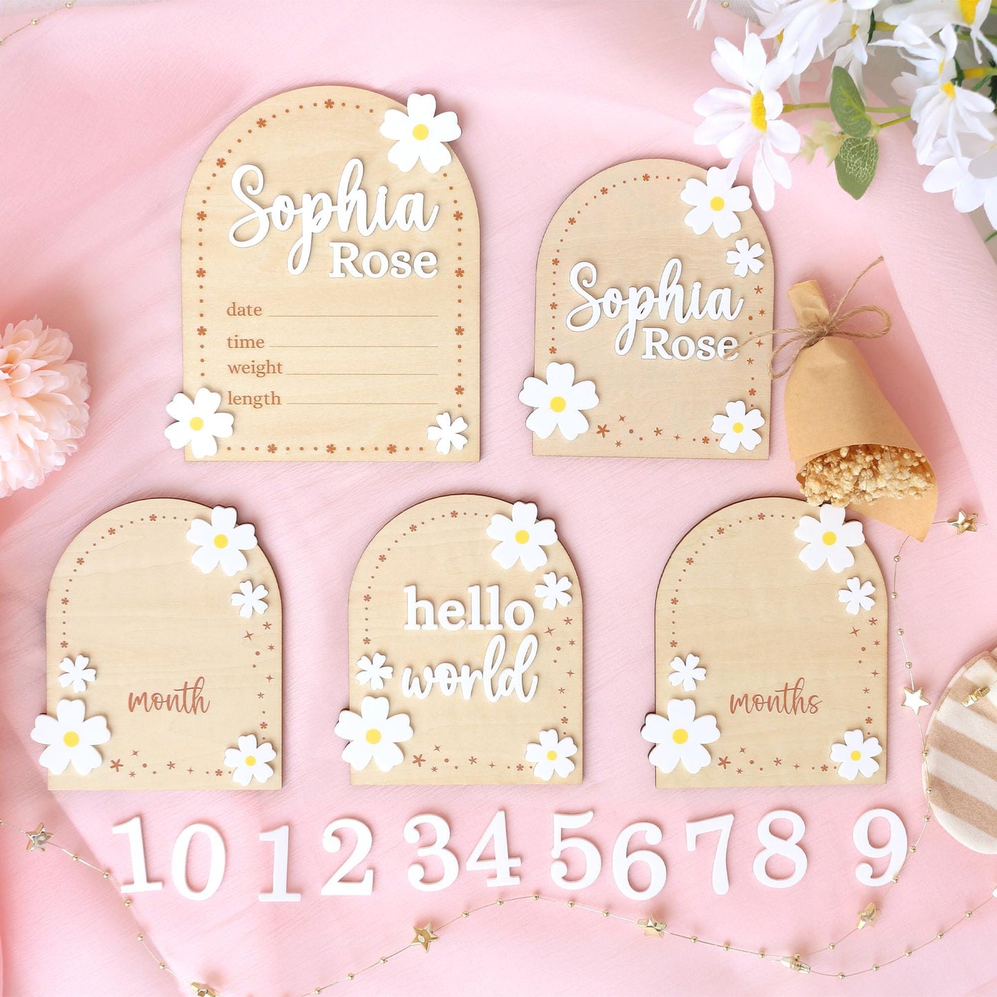 Baby Girl Monthly Milestone Sign: Flower Theme, Photo Prop