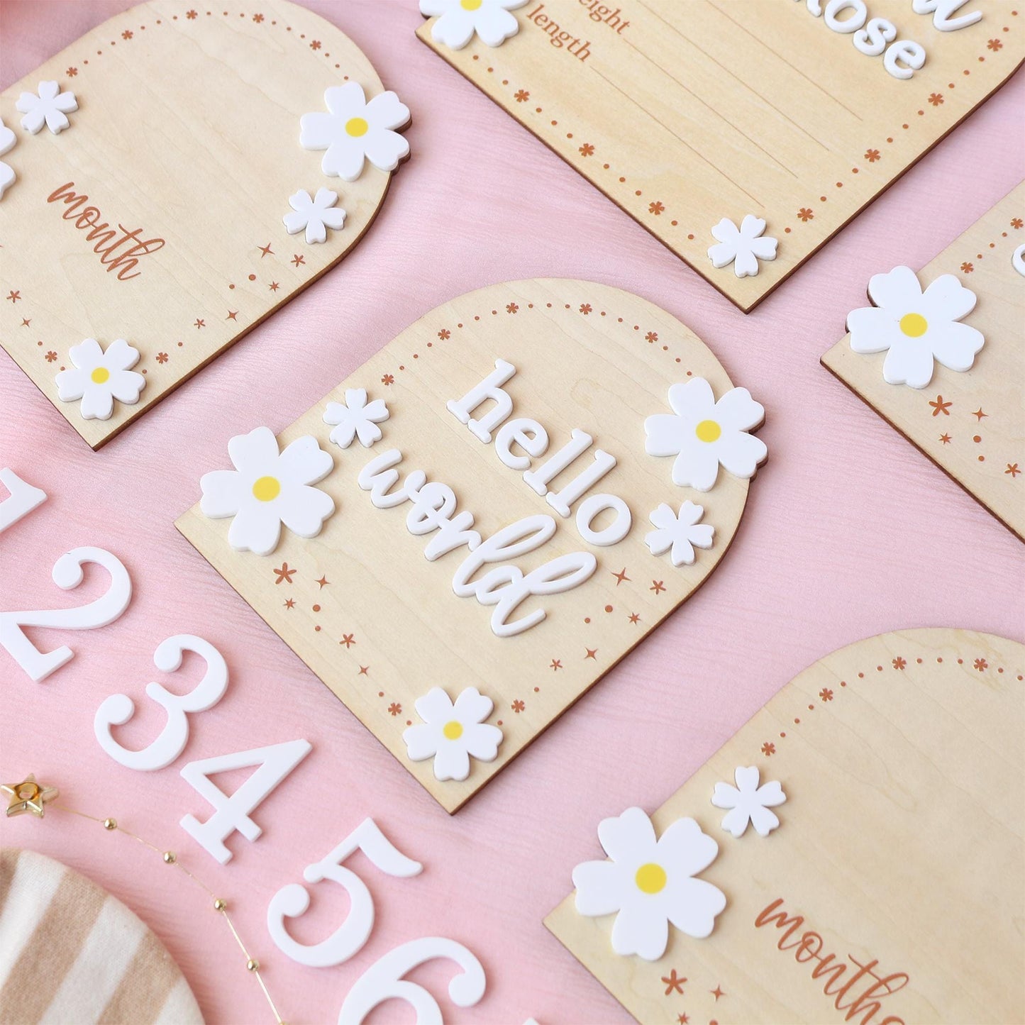Baby Girl Monthly Milestone Sign: Flower Theme, Photo Prop