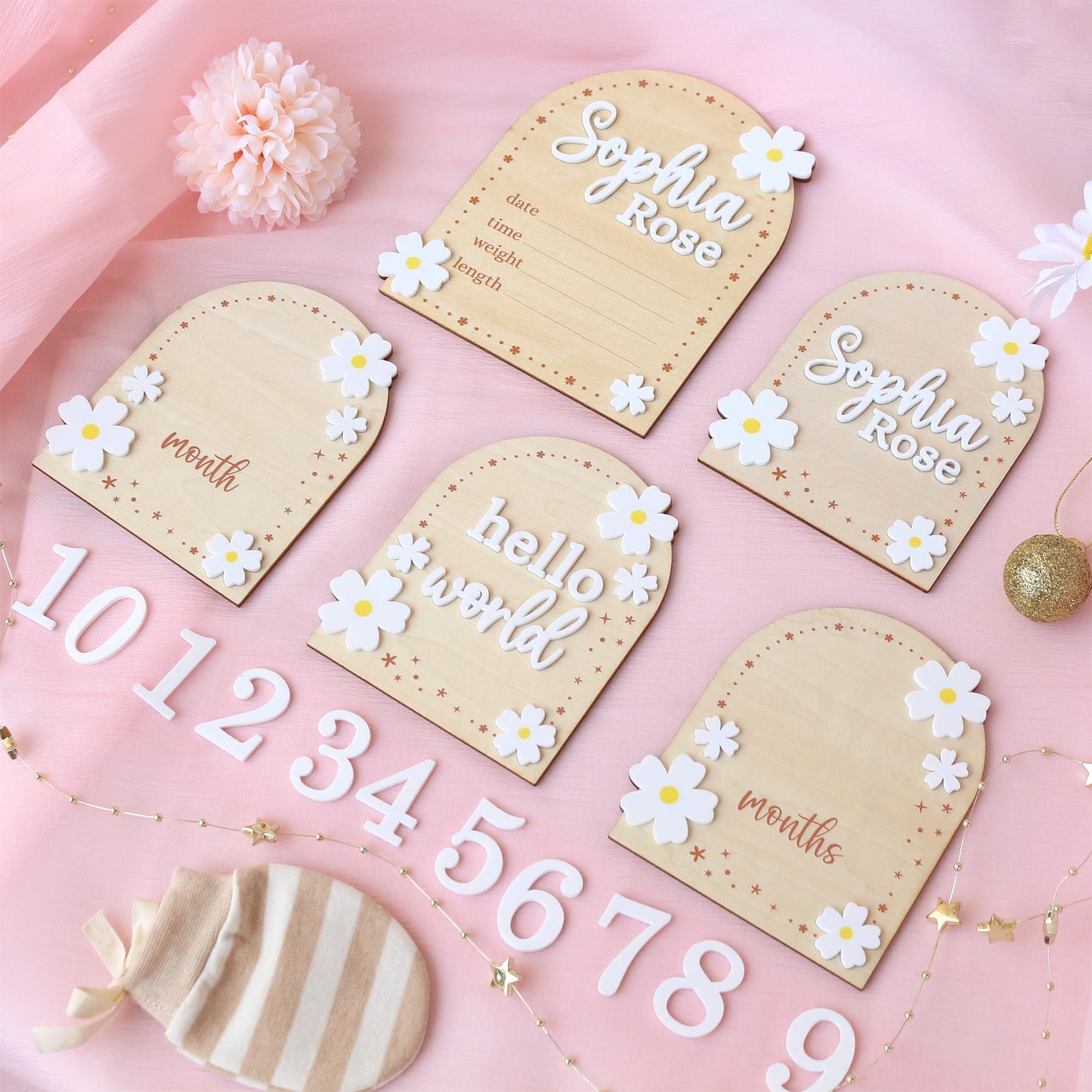 Baby Girl Monthly Milestone Sign: Flower Theme, Photo Prop