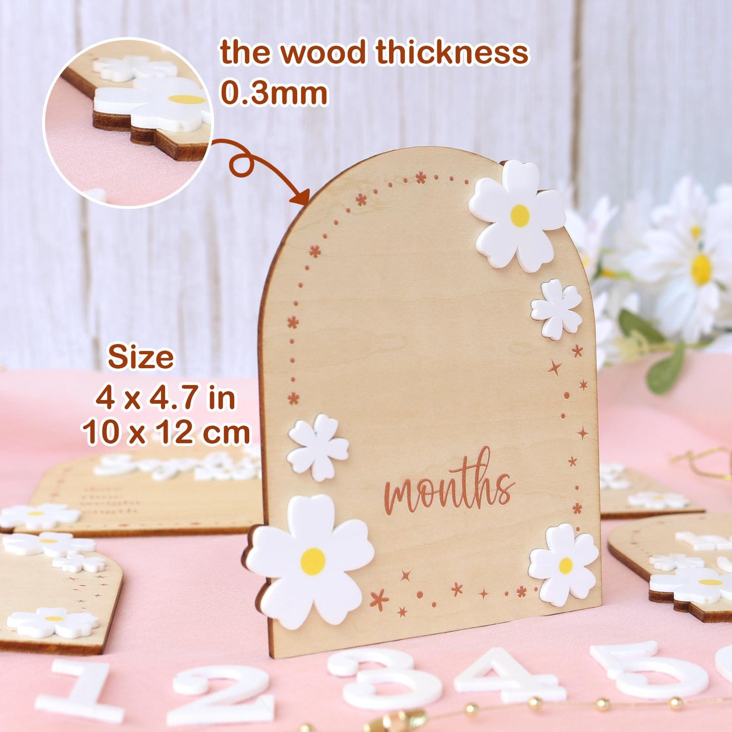 Baby Girl Monthly Milestone Sign: Flower Theme, Photo Prop