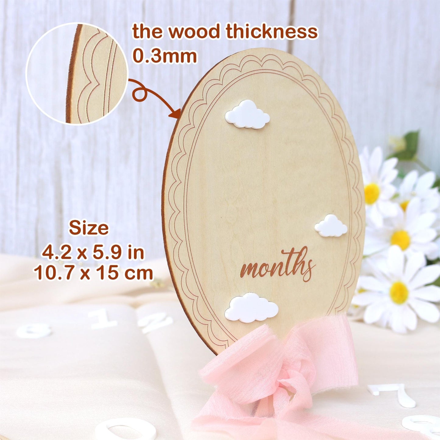 Baby Girl Milestone Sign: Baltic Birch Photo Prop