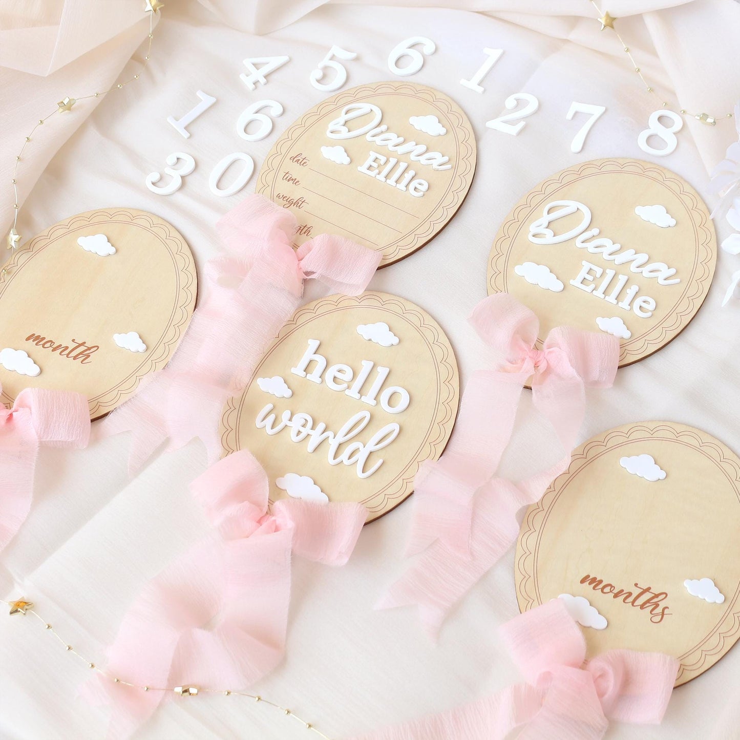 Baby Girl Milestone Sign: Baltic Birch Photo Prop