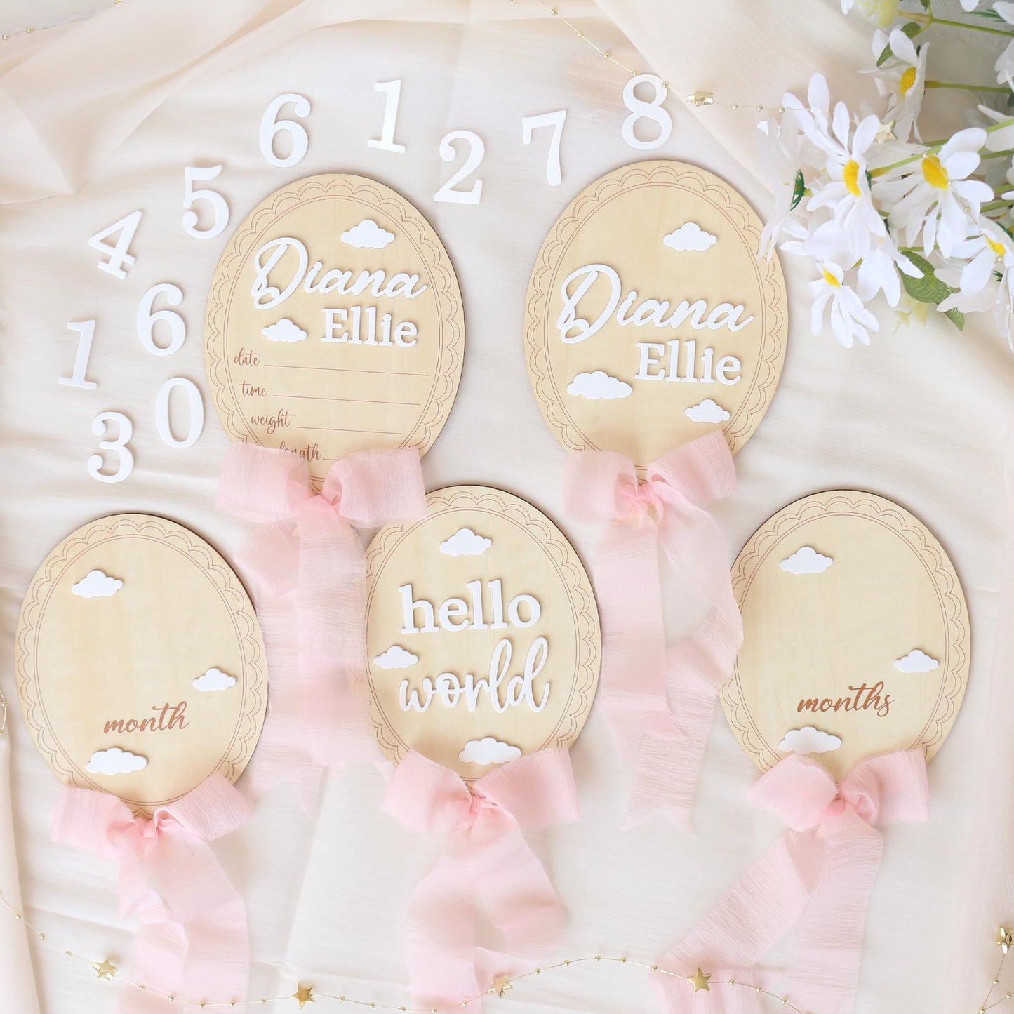 Baby Girl Milestone Sign: Baltic Birch Photo Prop