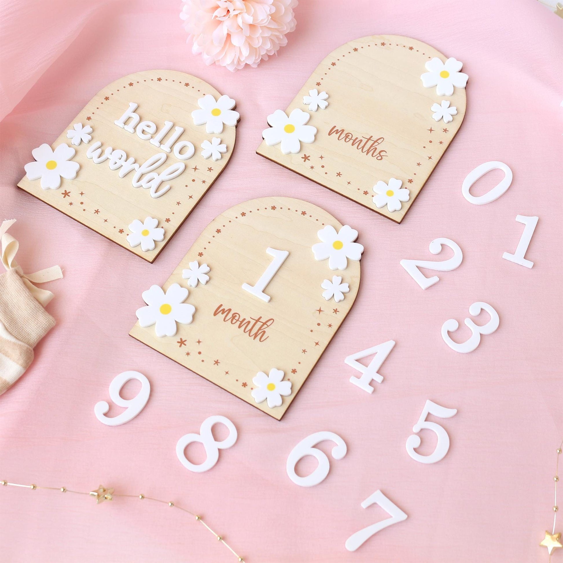 Baby Girl Monthly Milestone Sign: Flower Theme, Photo Prop