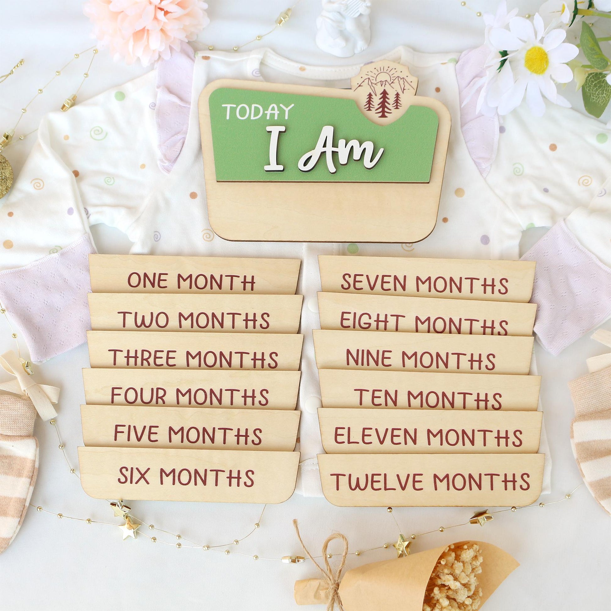 National Park Baby Milestone Sign: Baltic Birch Photo Prop