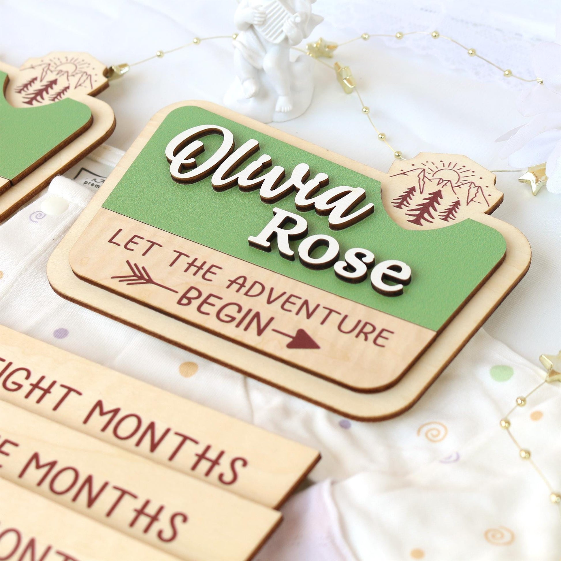 National Park Baby Milestone Sign: Baltic Birch Photo Prop
