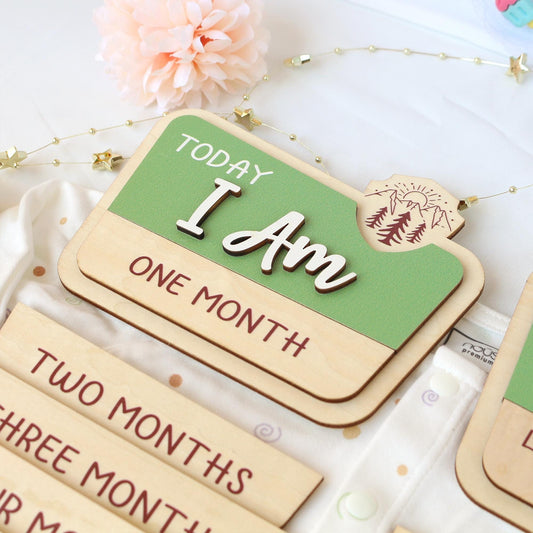 National Park Baby Milestone Sign: Baltic Birch Photo Prop