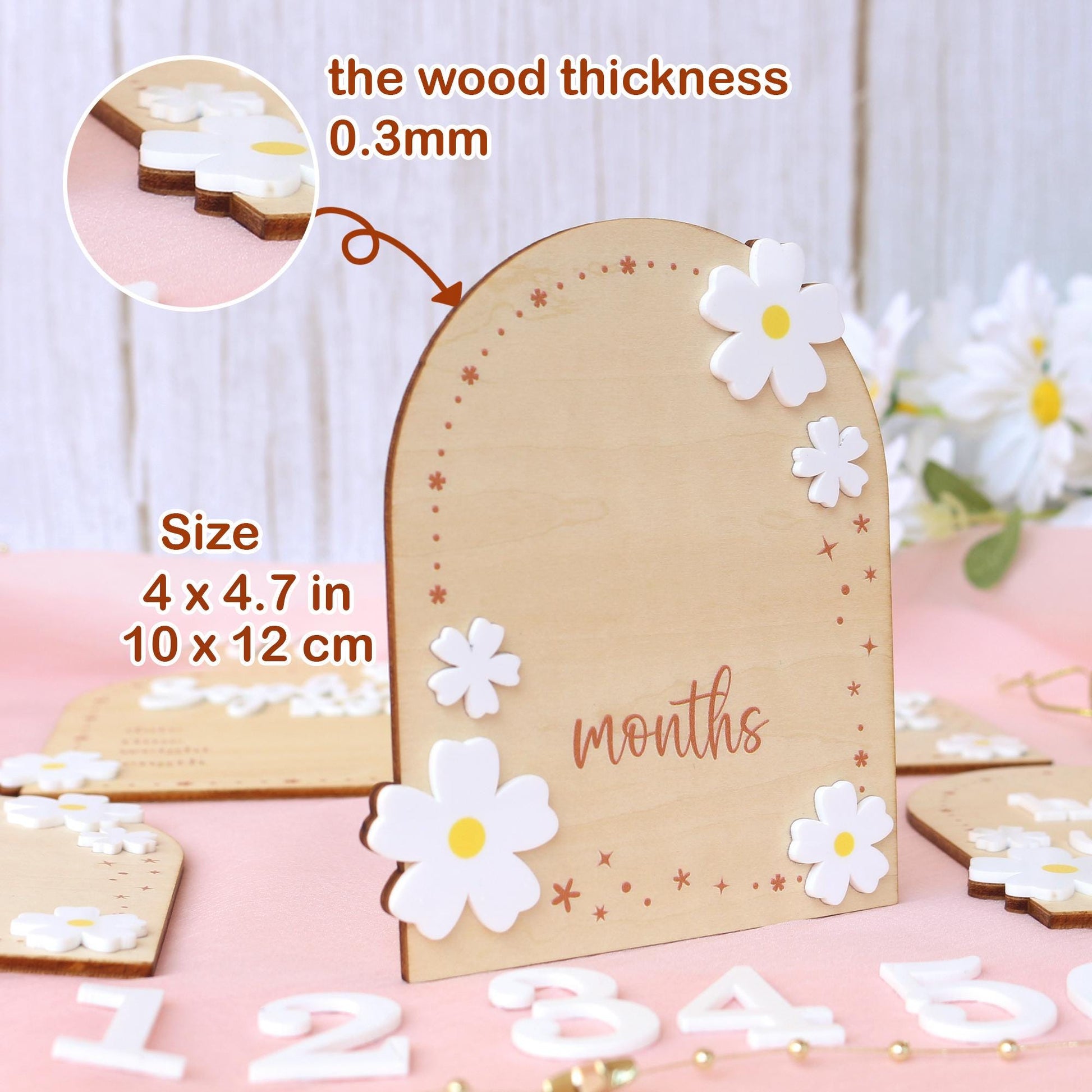 Baby Girl Monthly Milestone Sign: Flower Theme, Photo Prop