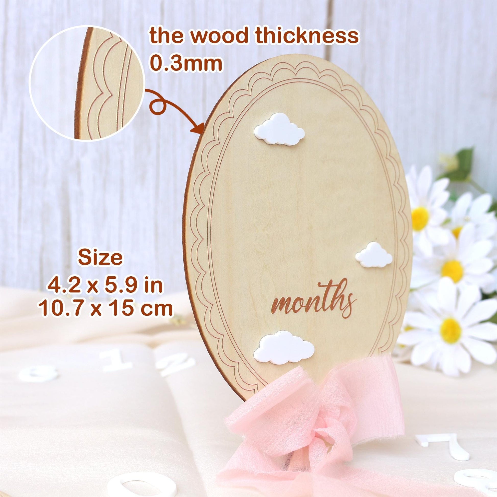 Baby Girl Milestone Sign: Baltic Birch Photo Prop