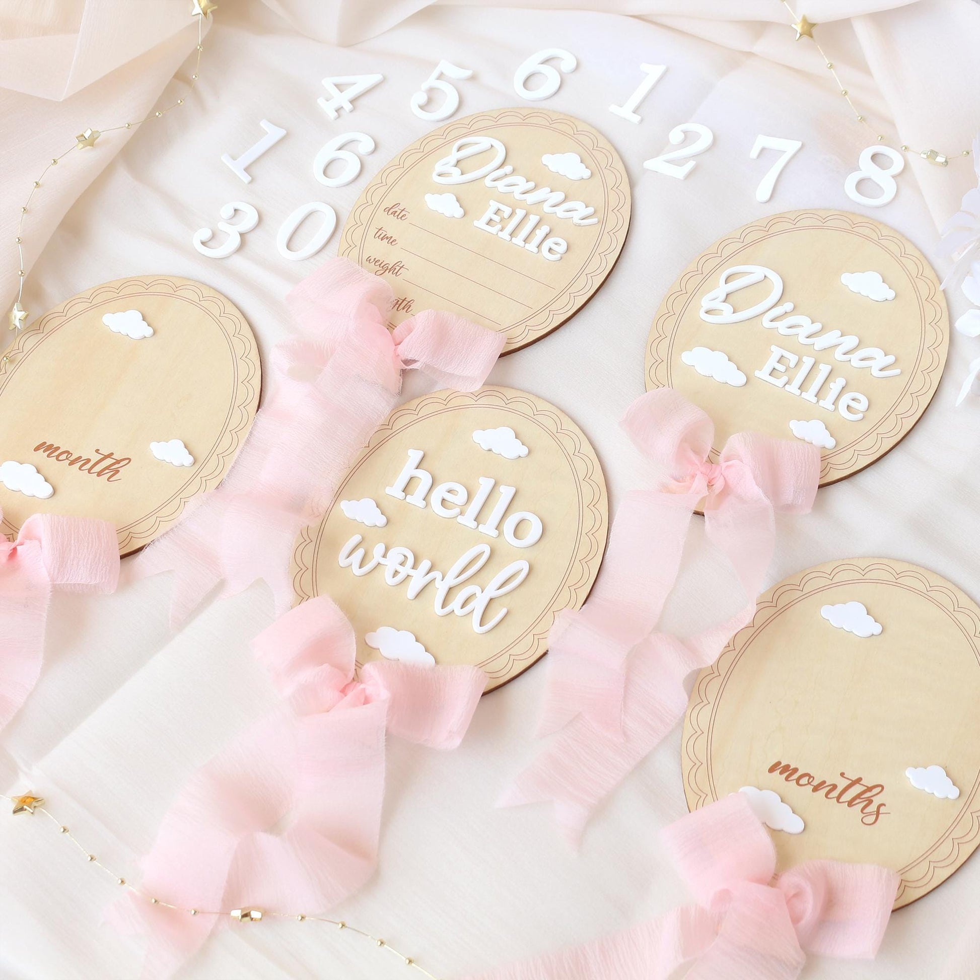 Baby Girl Milestone Sign: Baltic Birch Photo Prop