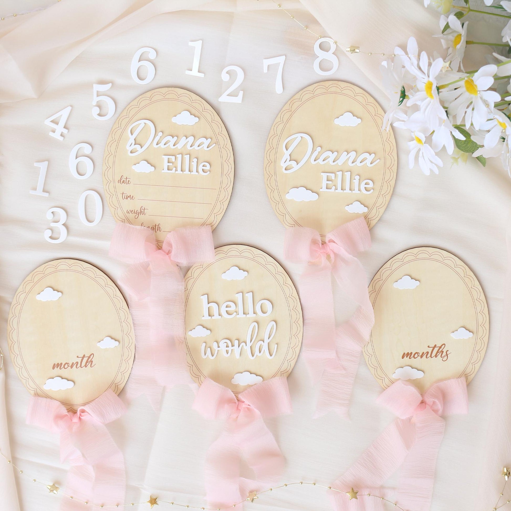 Baby Girl Milestone Sign: Baltic Birch Photo Prop