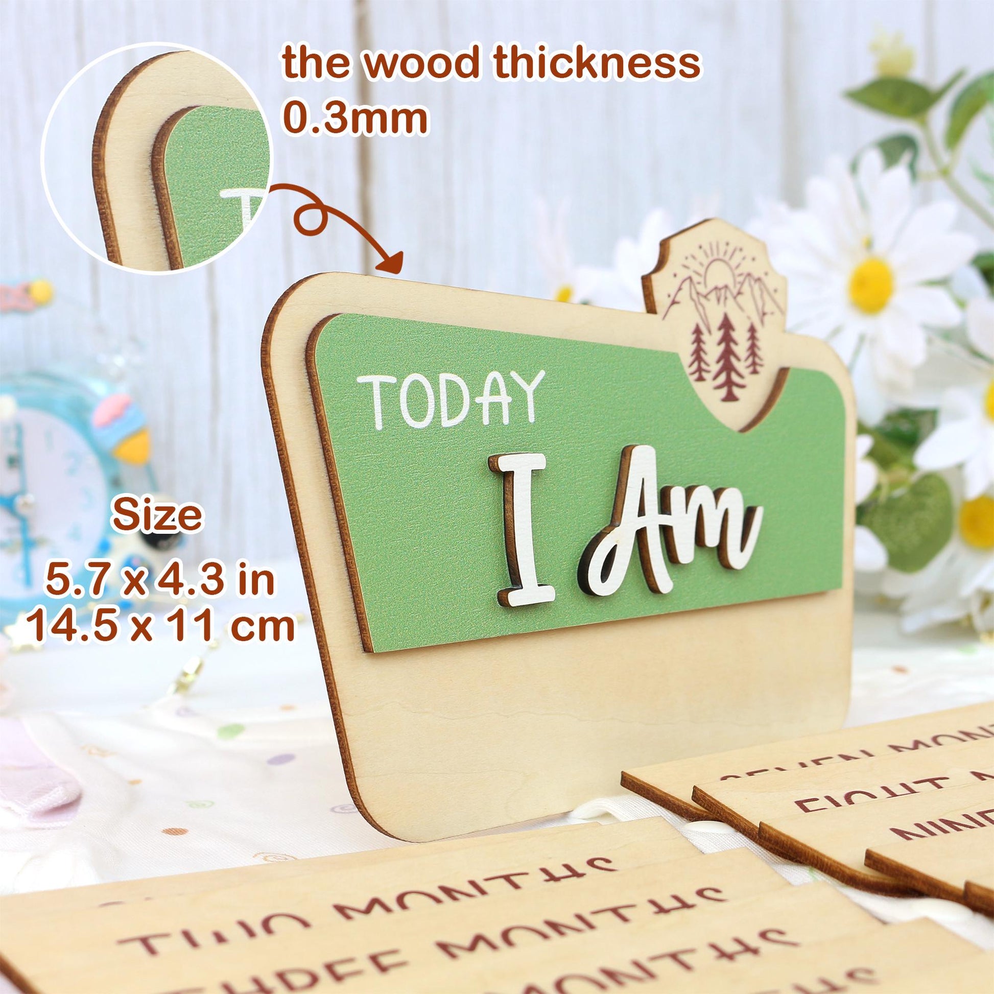 National Park Baby Milestone Sign: Baltic Birch Photo Prop