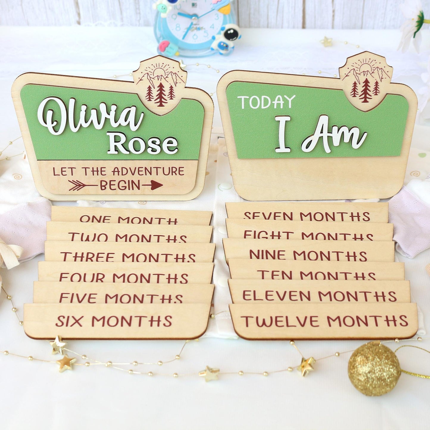 National Park Baby Milestone Sign: Baltic Birch Photo Prop