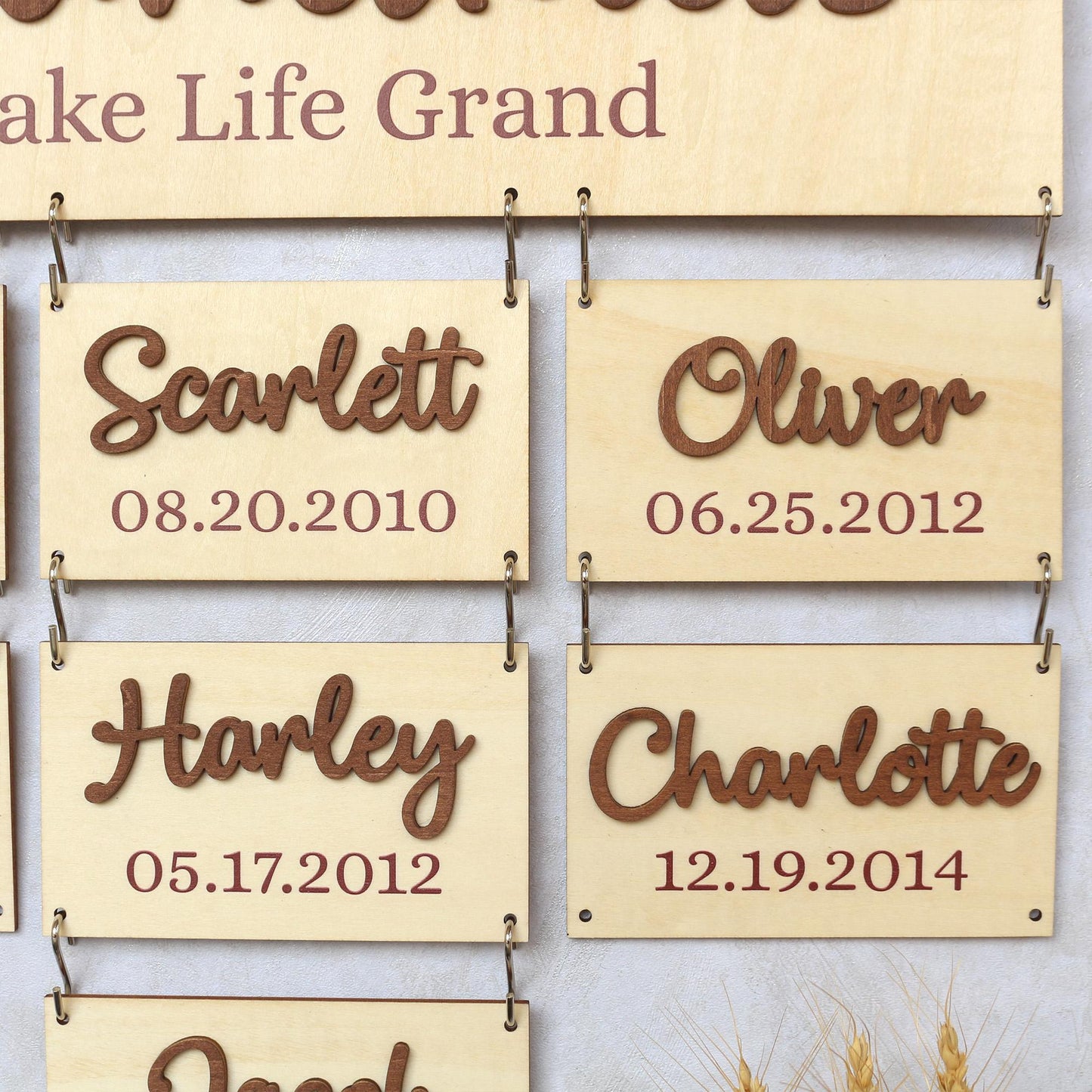 Personalized Grandchildren Wooden Name Sign: Gift for Grandparents